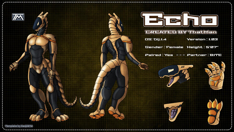 Echo